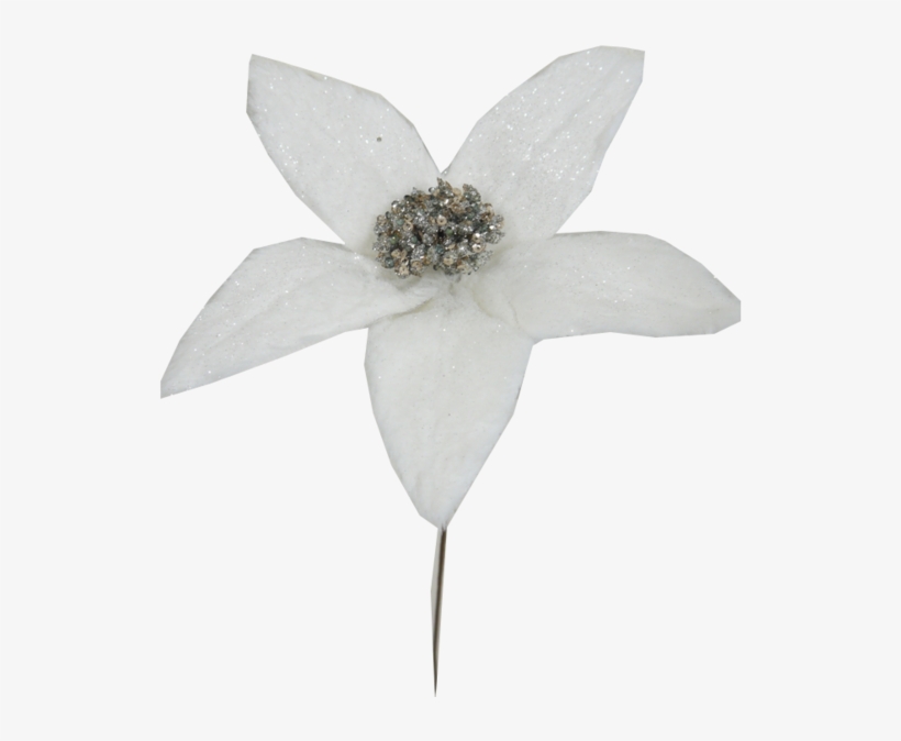 White Glitter Poinsettia Pick - Poinsettia, transparent png