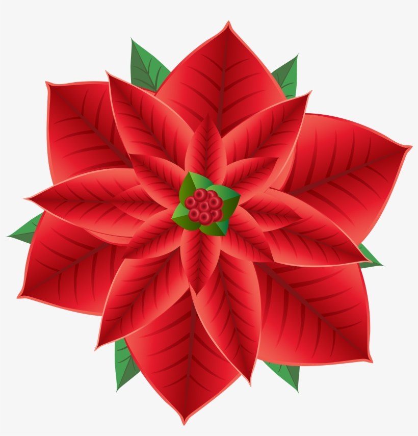 Clip Royalty Free Download Christmas Poinsettia Transparent, transparent png