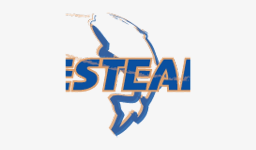 Tacklesteals - Graphics, transparent png