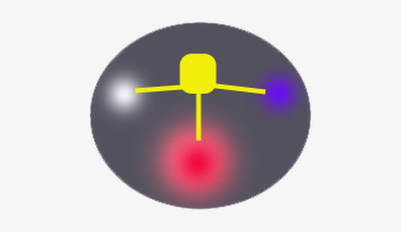 Photo - Photograph, transparent png