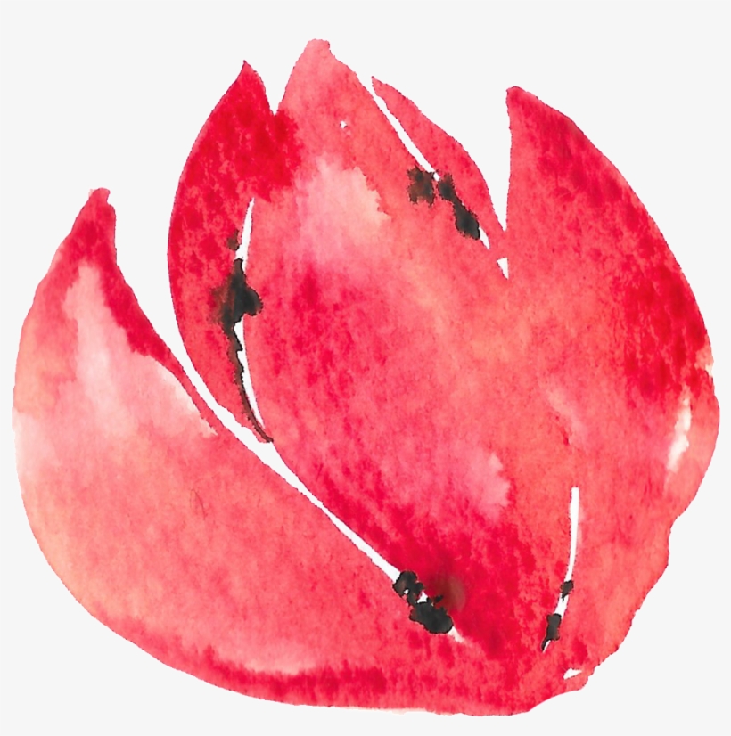 Hand Painted Half Open Flower Watercolor Transparent - Visual Arts, transparent png