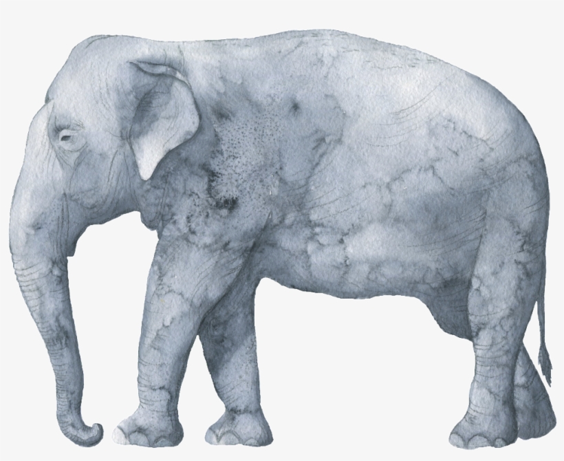 Gray Rendered Elephant Pattern Watercolor Transparent - Watercolor Baby Animals Shower Invitations, transparent png