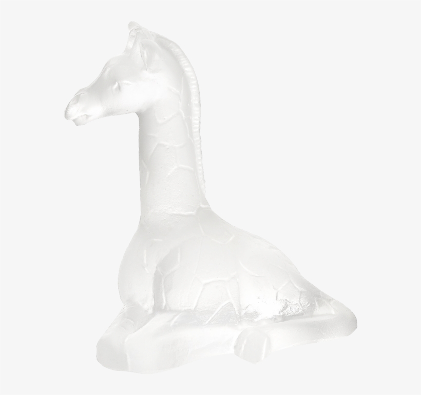 Mini Girafe Blanche 05260c, transparent png