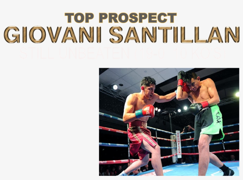 14 Ranked Bantamweight By The Wbc, Delivered Another - Professional Boxing, transparent png