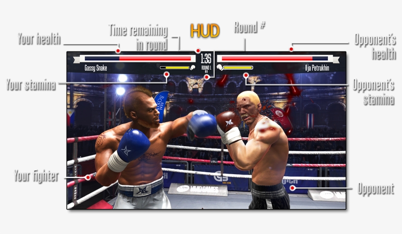 Heads-up Display - Amateur Boxing, transparent png
