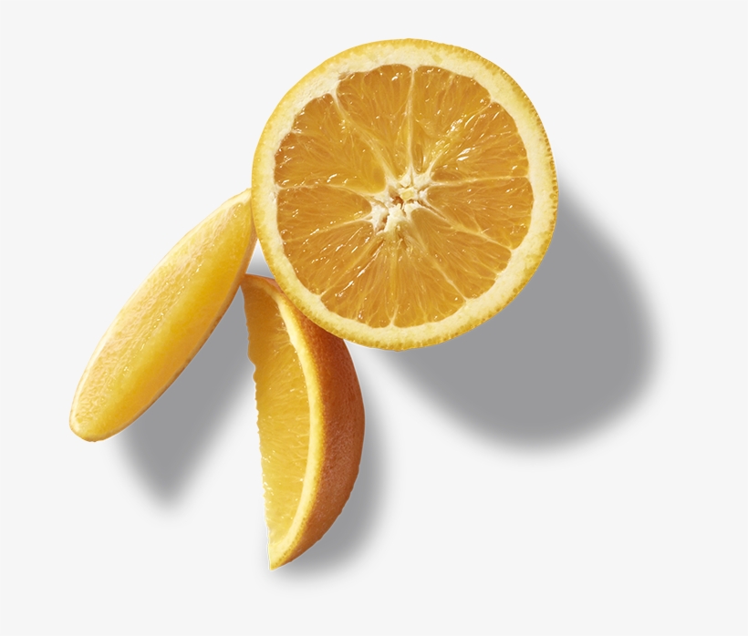 Source - Www - Cboldcountrystore - Com - Report - Orange - Orange Slice, transparent png