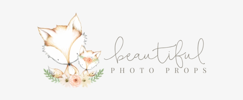 Beautiful Photo Props - Facebook, transparent png