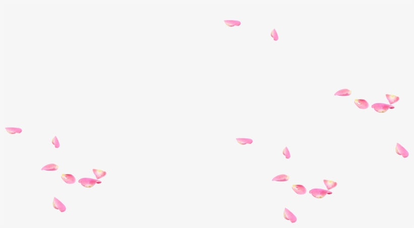 Png For Free Download On Mbtskoudsalg - Petalos Cayendo Png, transparent png