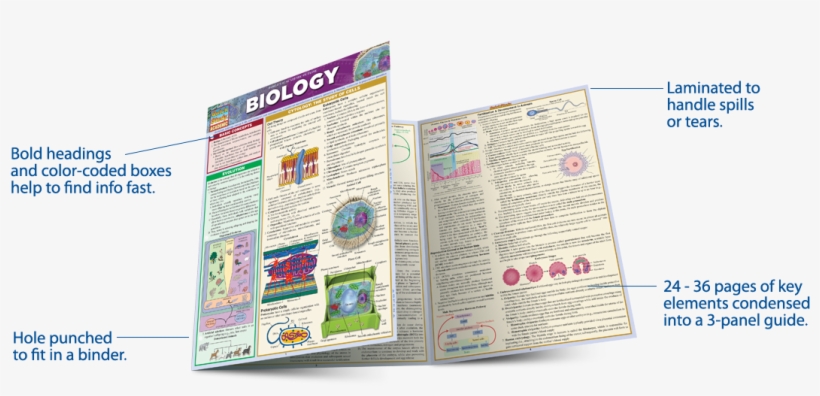 Study Guides - Laminated Guide, transparent png