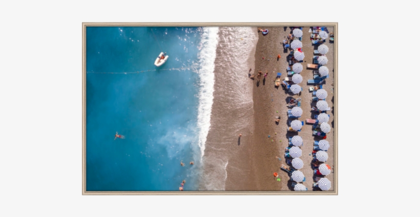 Limited Edition Acqua - Gull, transparent png