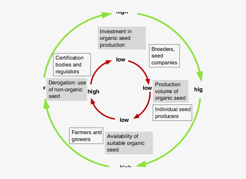 A Vicious Circle And A Virtuous Circle (light Green, - Virtuous Vicious, transparent png