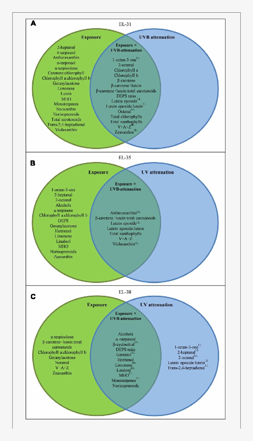 A Venn Diagram Showing The Compounds Which Responded - .org, transparent png