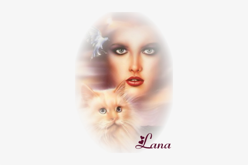 Image And Video Hosting By Tinypic - Ladybug Media Corp - Personalized Name Wall Decals, transparent png