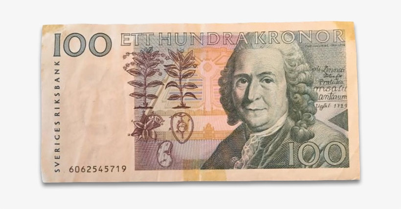 Carl Linnaeus With Linnaea Borealis On A Swedish 100 - Sweden 100 Kronor, transparent png