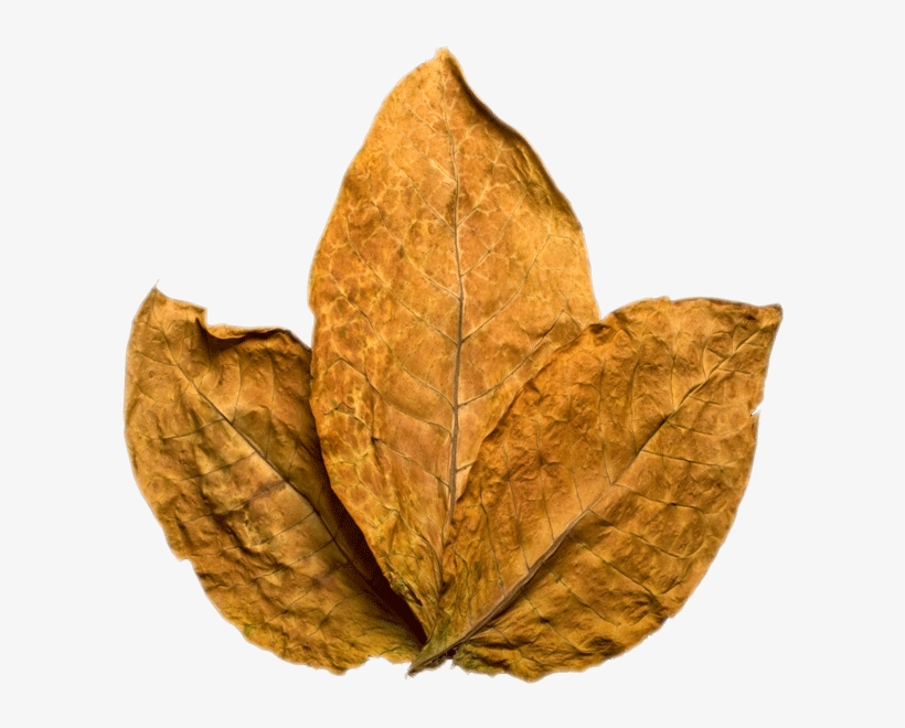Tobacco Png, transparent png
