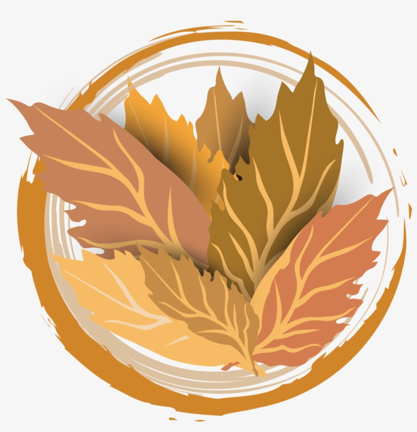Tobacco Leaf Transparent Background - 1417x1417 PNG Download - PNGkit