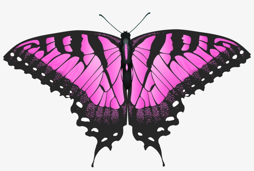 Pink Butterfly Png, transparent png