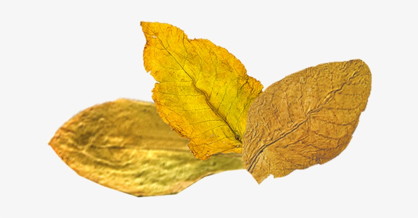 Tobacco Png - Portable Network Graphics, transparent png