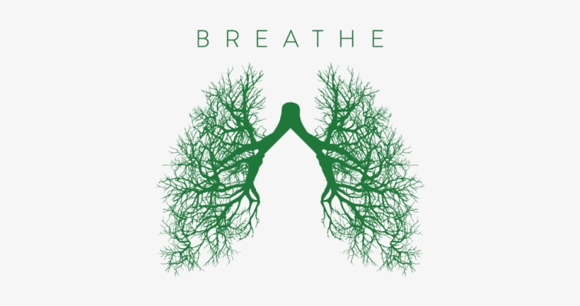 “my Goal Is Not To Punish Smoking, A Very Powerful - Csulb Breathe, transparent png