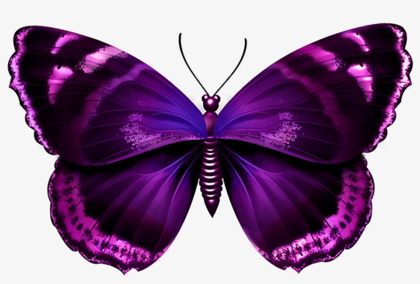 Pink Butterfly Wings Png Download - Purple Butterfly Png Transparent, transparent png