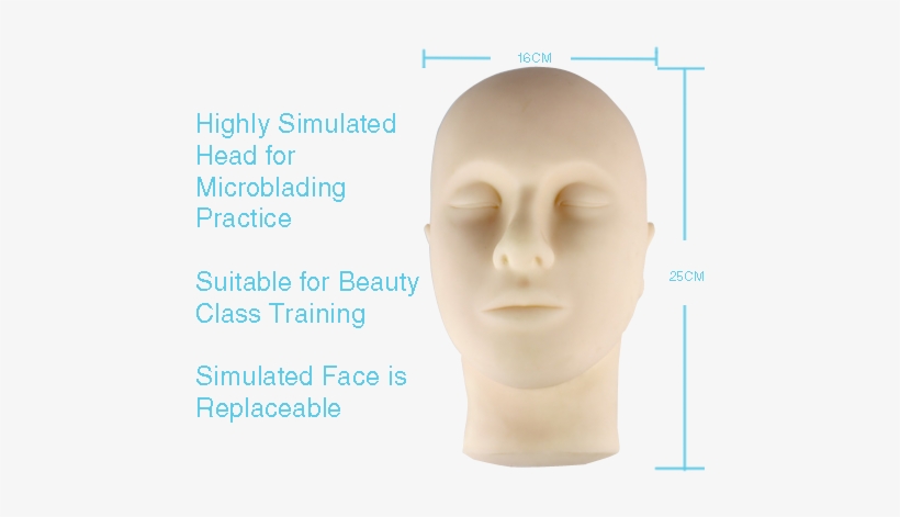 Semi Permanent Make Up Training Mannequin Head - Permanent Makeup, transparent png