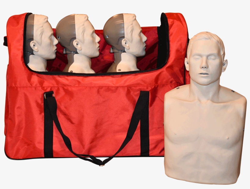 Bigred™ Adult Cpr Manikin With Led Light Cpr Feedback - Transparent Anatomical Manikin, transparent png