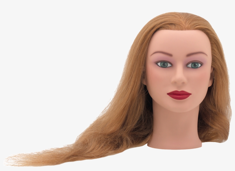 Alexis Manikin, transparent png