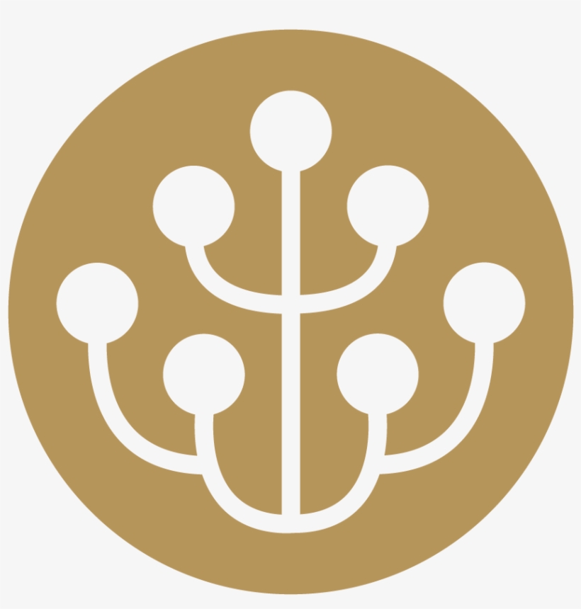 The Rooted Experience, transparent png
