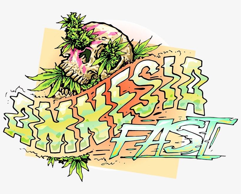 Amnesia Fast Feminised Seeds - Seed, transparent png