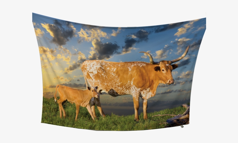 Texas Longhorn Fleece Blanket - My Texas, transparent png