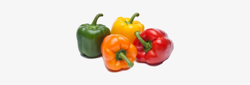 Company Information Convention Peppers - Sweet Bell Peppers Transparent, transparent png