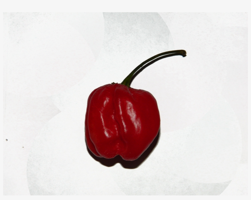 Red Scotch Bonnet, transparent png