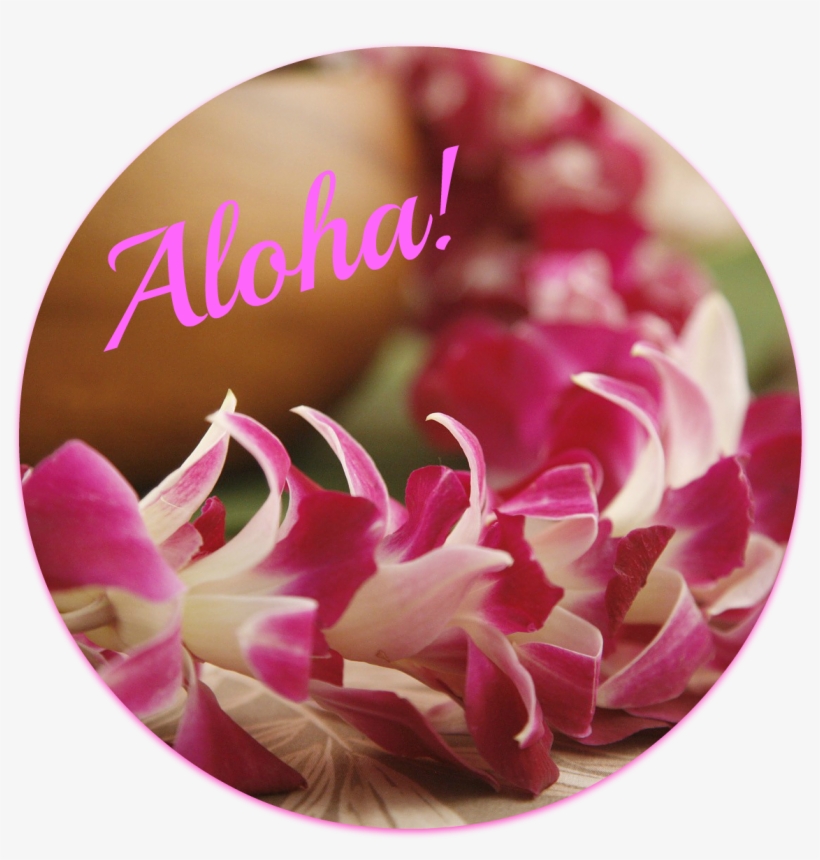 I Assume You Know What A Lei Is - Hawaiian Lei, transparent png