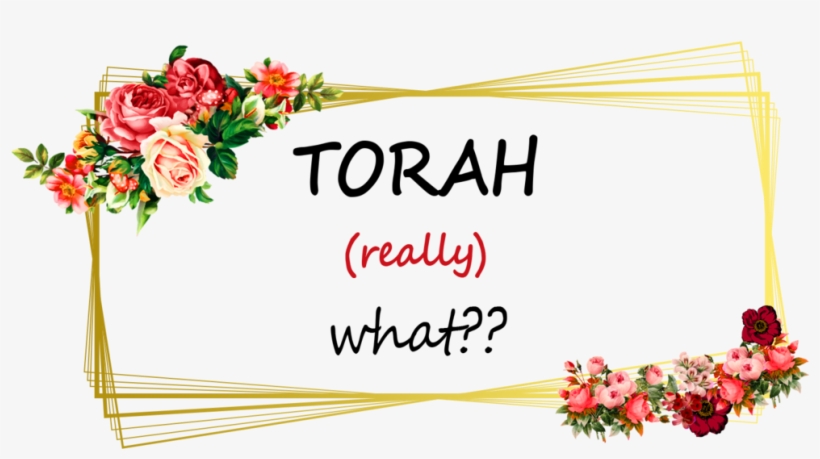 Torah What - Torah, transparent png