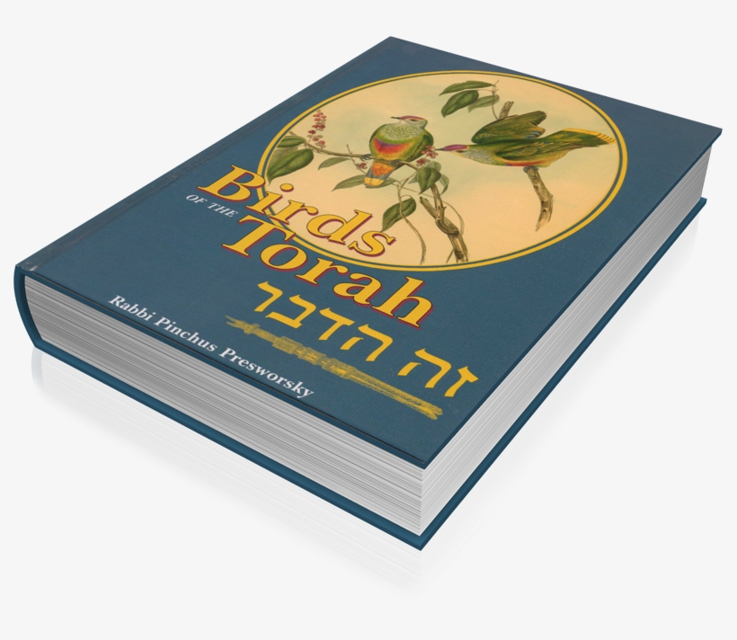 Visit - Pinchus Presworsky, transparent png