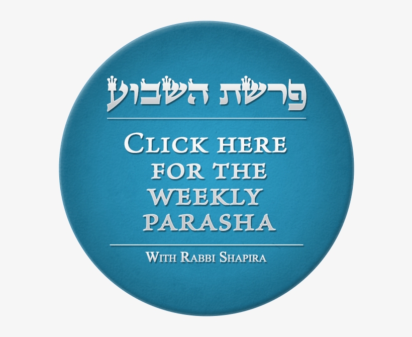 Pearls Of Torah - Circle, transparent png