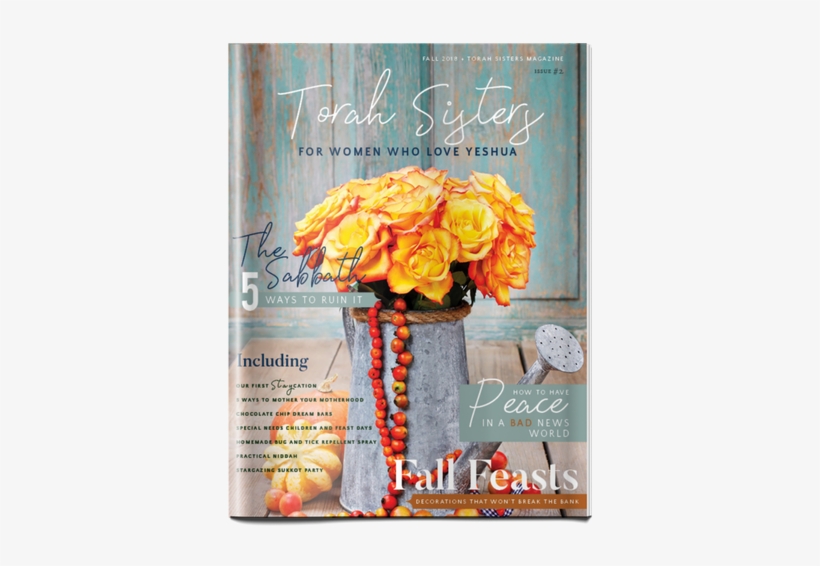 Get The Printed Fall 2018 Issue Of Torah Sisters Magazine - Magazine, transparent png