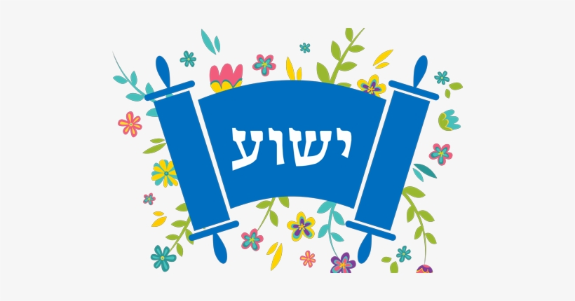 Torah Flowers - Torah, transparent png