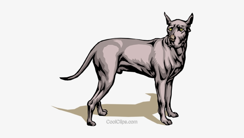 Great Dane Royalty Free Vector Clip Art Illustration - Vector Graphics, transparent png