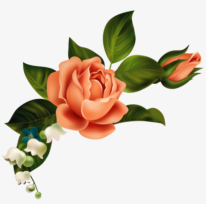 Orange Flower Clipart Corner Youth Shawn Mendes Lyrics 1185x1120 Png Download Pngkit