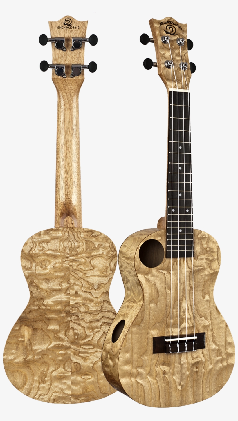 Snail Quilted Ash Ukulele - Amahi Snail Quilted Ash Concert Ukulele With Gig Bag, transparent png