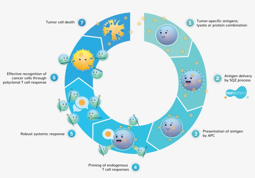 Sqz Play - Circle, transparent png