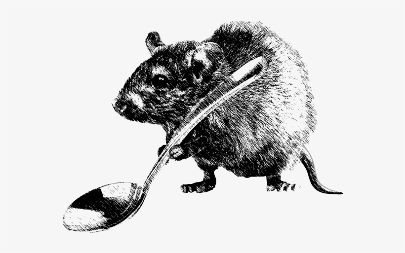 Usage - - Rat, transparent png