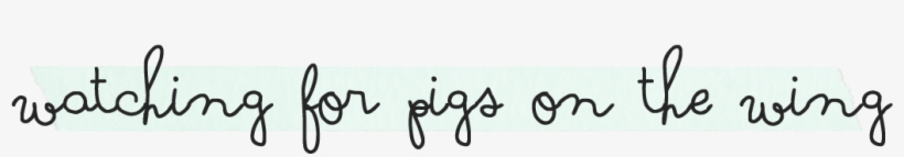 Calligraphy, transparent png