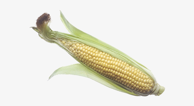 Corn Cob Png Image - Corn In Poop Meme, transparent png