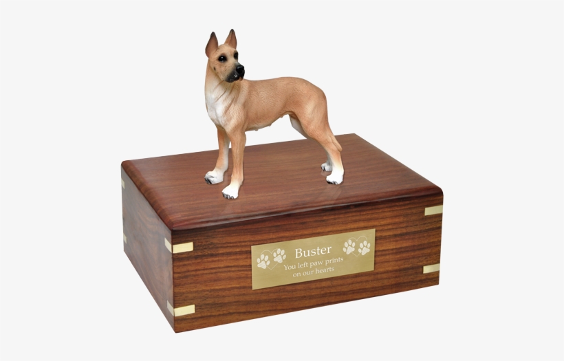 Great Dane Fawn Wood Urn With Engraved Plaque - Pug Urn, transparent png