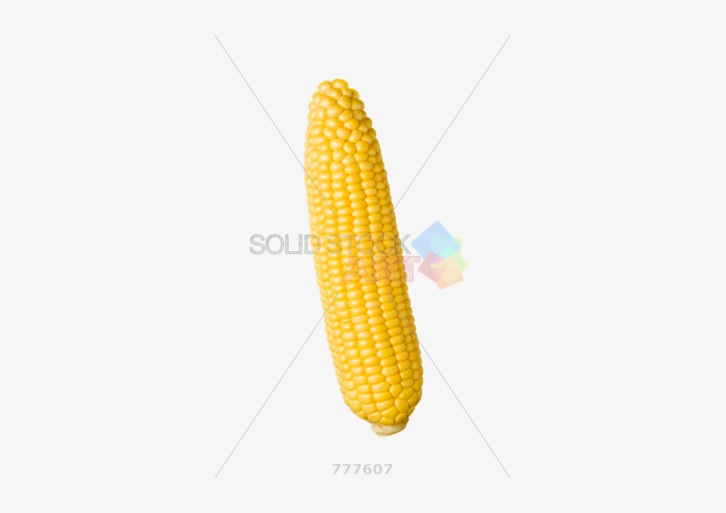 Stock Photo Of Peeled Yellow Corn Cob Isolated On Transparent - Corn On The Cob Vertical, transparent png