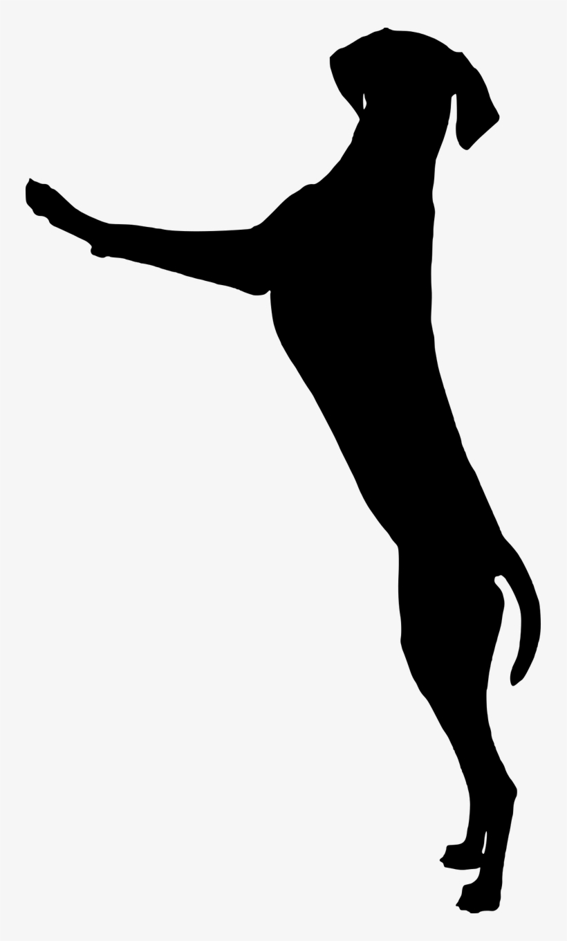 Dog, Dog, Standing, Playing, Silhouette - Dog Standing Up Silhouette, transparent png