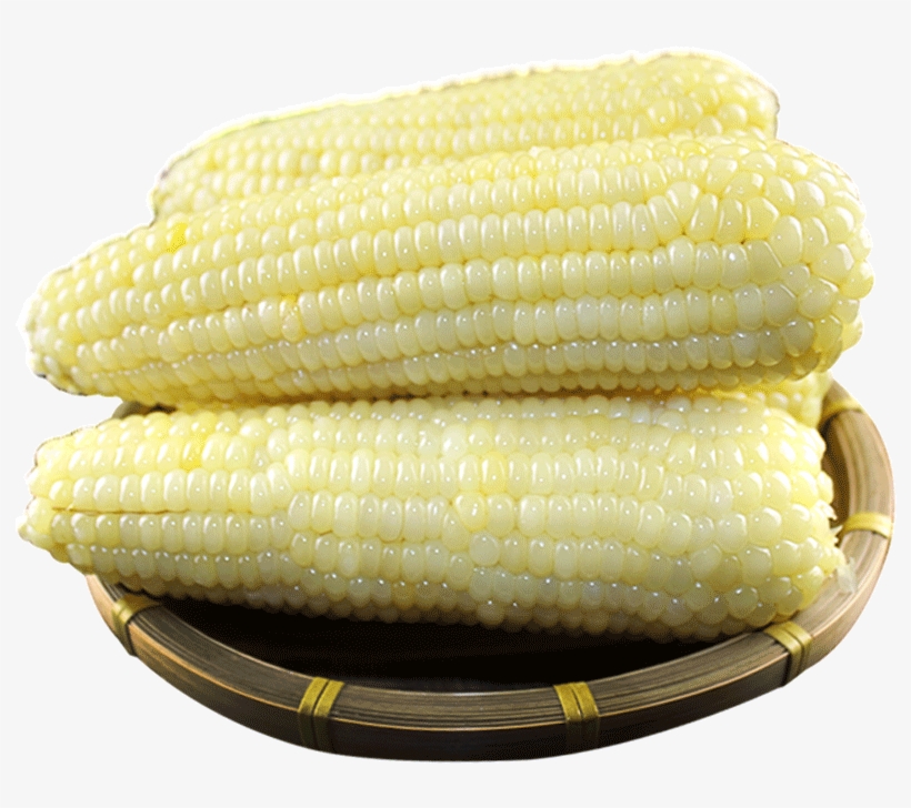 [10 Get 3] Lu Yin Fresh Sweet Glutinous Corn Sticky - Maize, transparent png