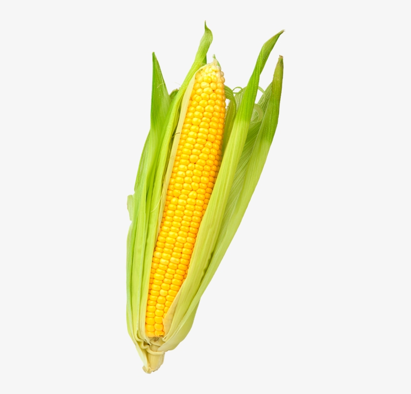 Menu Farmmenu Farm - Menu, transparent png